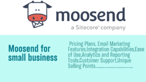 Read more about the article Moosend for Small Businesses: Your Ultimate Starter Guide Email Marketing Power